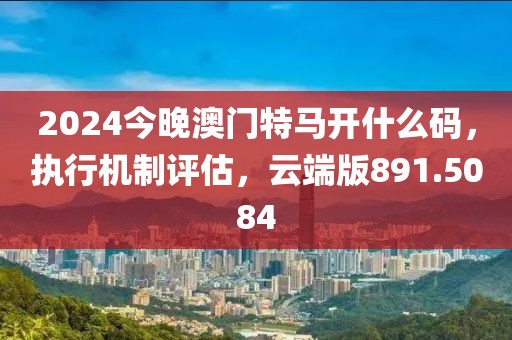 2024今晚澳门特马开什么码，执行机制评估，云端版891.5084