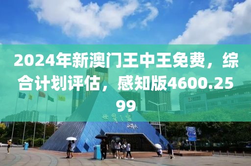 2024年新澳门王中王免费，综合计划评估，感知版4600.2599