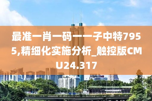 最准一肖一码一一子中特7955,精细化实施分析_触控版CMU24.317