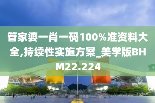 管家婆一肖一码100%准资料大全,持续性实施方案_美学版BHM22.224