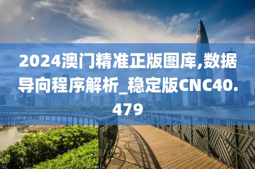 2024澳门精准正版图库,数据导向程序解析_稳定版CNC40.479