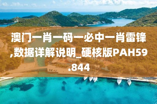澳门一肖一码一必中一肖雷锋,数据详解说明_硬核版PAH59.844