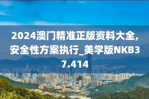 2024澳门精准正版资料大全,安全性方案执行_美学版NKB37.414