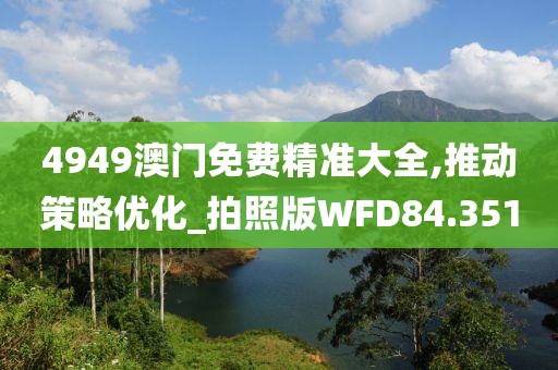4949澳门免费精准大全,推动策略优化_拍照版WFD84.351