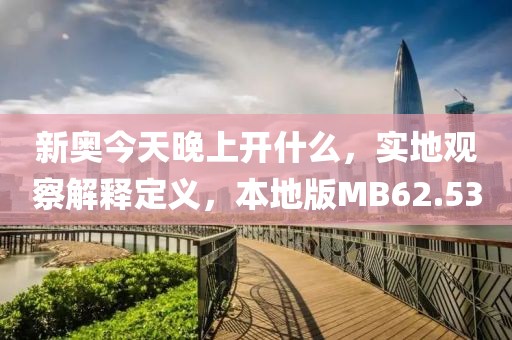 新奥今天晚上开什么，实地观察解释定义，本地版MB62.53