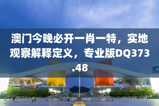 澳门今晚必开一肖一特,实地观察解释定义,专业版DQ373.48