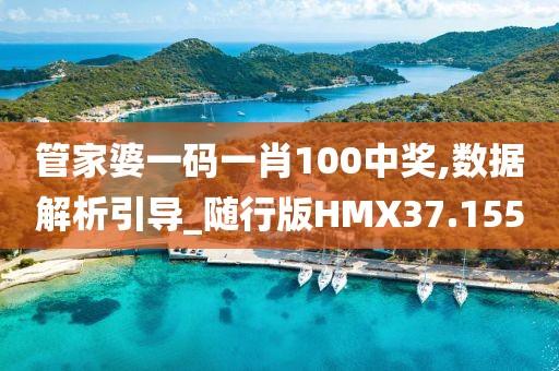 管家婆一码一肖100中奖,数据解析引导_随行版HMX37.155