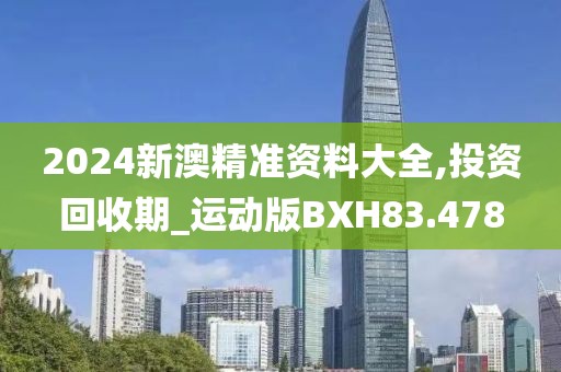 2024新澳精准资料大全,投资回收期_运动版BXH83.478