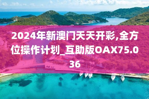 2024年新澳门天天开彩,全方位操作计划_互助版OAX75.036