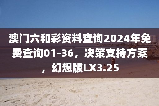 澳门六和彩资料查询2024年免费查询01-36，决策支持方案，幻想版LX3.25