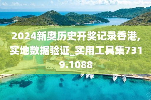 2024新奥历史开奖记录香港,实地数据验证_实用工具集7319.1088