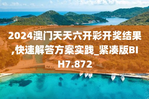 2024澳门天天六开彩开奖结果,快速解答方案实践_紧凑版BIH7.872