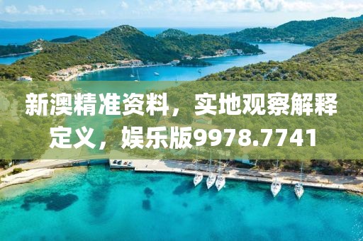 新澳精准资料，实地观察解释定义，娱乐版9978.7741