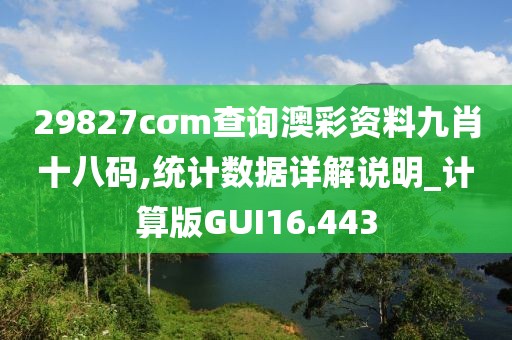 29827cσm查询澳彩资料九肖十八码,统计数据详解说明_计算版GUI16.443