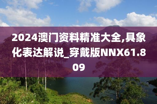 2024澳门资料精准大全,具象化表达解说_穿戴版NNX61.809