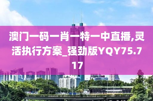 澳门一码一肖一特一中直播,灵活执行方案_强劲版YQY75.717