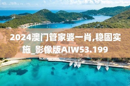 2024澳门管家婆一肖,稳固实施_影像版AIW53.199
