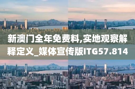 新澳门全年免费料,实地观察解释定义_媒体宣传版ITG57.814