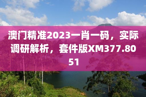 澳门精准2023一肖一码，实际调研解析，套件版XM377.8051