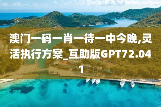 澳门一码一肖一待一中今晚,灵活执行方案_互助版GPT72.041