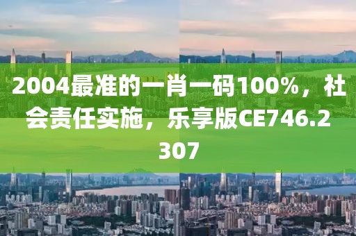 2004最准的一肖一码100%，社会责任实施，乐享版CE746.2307