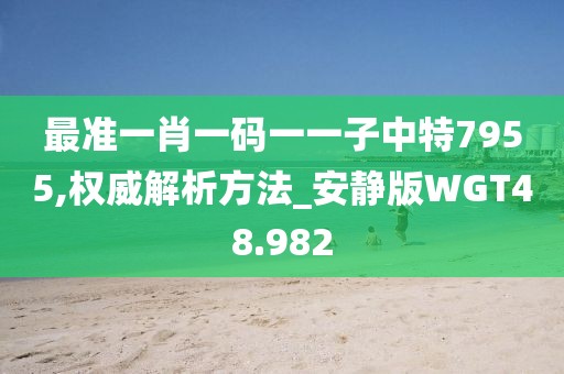 最准一肖一码一一子中特7955,权威解析方法_安静版WGT48.982