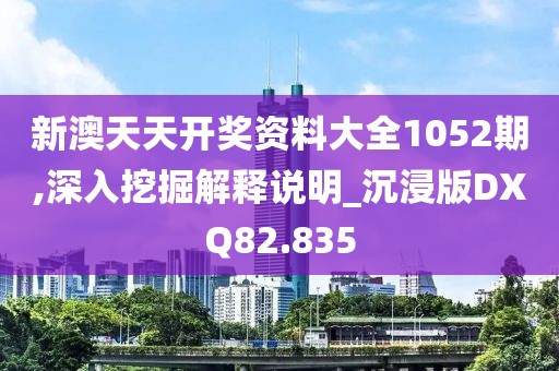 新澳天天开奖资料大全1052期,深入挖掘解释说明_沉浸版DXQ82.835