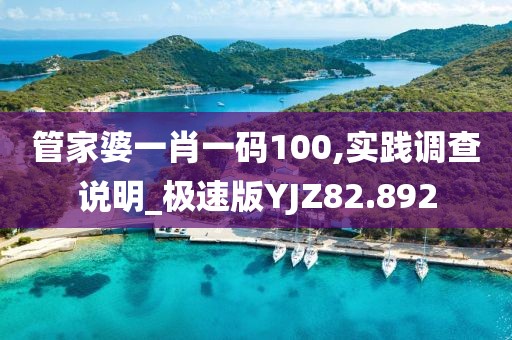 管家婆一肖一码100,实践调查说明_极速版YJZ82.892
