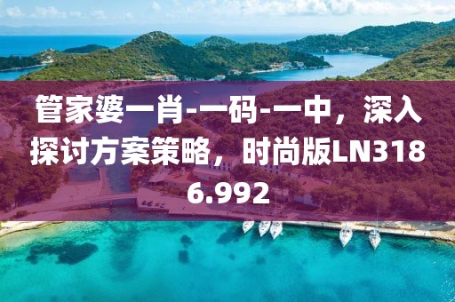 管家婆一肖-一码-一中，深入探讨方案策略，时尚版LN3186.992
