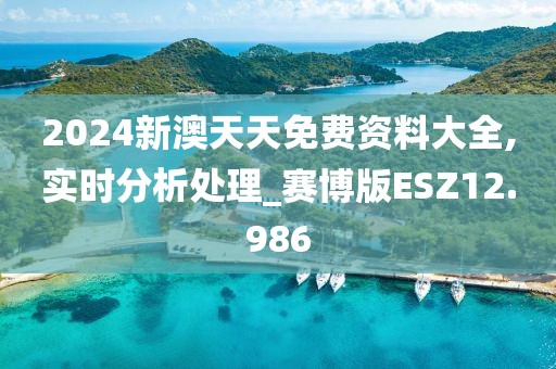2024新澳天天免费资料大全,实时分析处理_赛博版ESZ12.986
