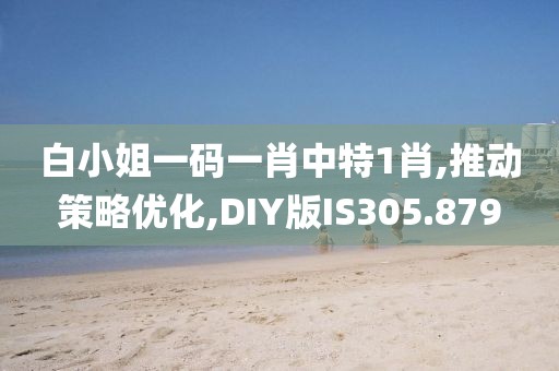 白小姐一码一肖中特1肖,推动策略优化,DIY版IS305.879
