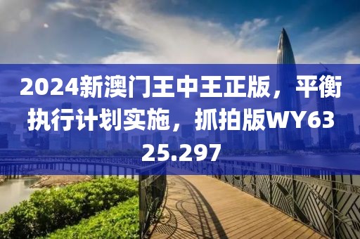 2024新澳门王中王正版，平衡执行计划实施，抓拍版WY6325.297