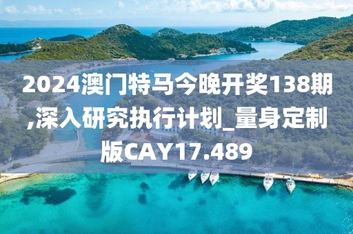 2024澳门特马今晚开奖138期,深入研究执行计划_量身定制版CAY17.489