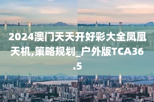 2024澳门天天开好彩大全凤凰天机,策略规划_户外版TCA36.5