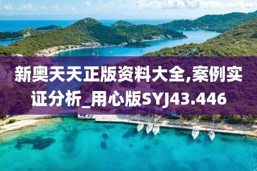 新奥天天正版资料大全,案例实证分析_用心版SYJ43.446