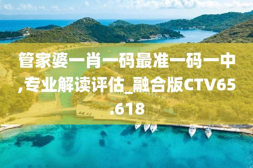 管家婆一肖一码最准一码一中,专业解读评估_融合版CTV65.618