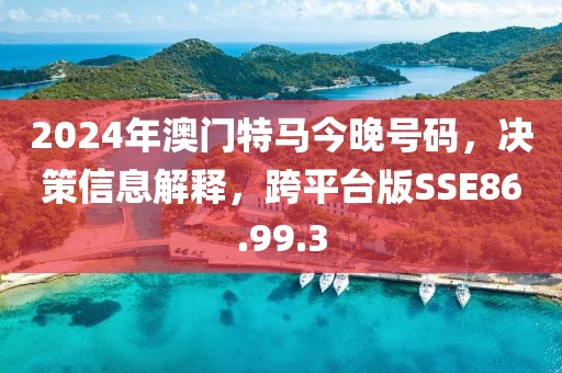 2024年澳门特马今晚号码，决策信息解释，跨平台版SSE86.99.3