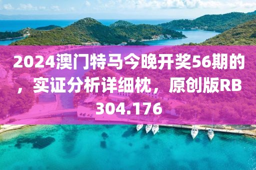 2024澳门特马今晚开奖56期的，实证分析详细枕，原创版RB304.176