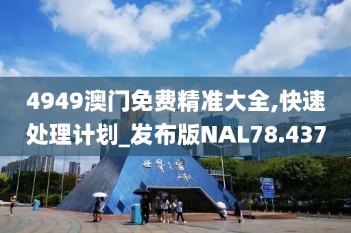 4949澳门免费精准大全,快速处理计划_发布版NAL78.437
