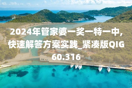 2024年管家婆一奖一特一中,快速解答方案实践_紧凑版QIG60.316