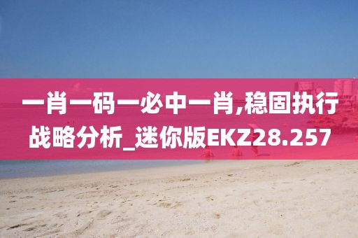 一肖一码一必中一肖,稳固执行战略分析_迷你版EKZ28.257