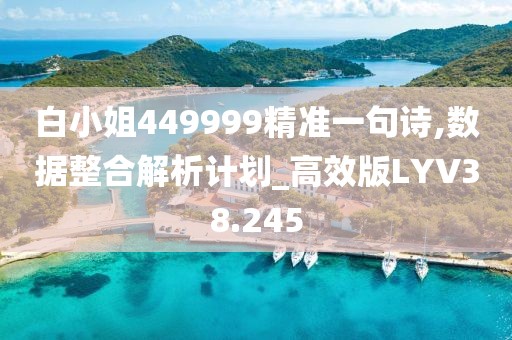 白小姐449999精准一句诗,数据整合解析计划_高效版LYV38.245