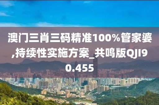 澳门三肖三码精准100%管家婆,持续性实施方案_共鸣版QJI90.455
