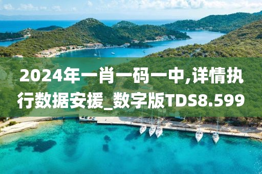2024年一肖一码一中,详情执行数据安援_数字版TDS8.599