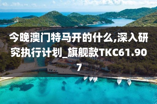 今晚澳门特马开的什么,深入研究执行计划_旗舰款TKC61.907