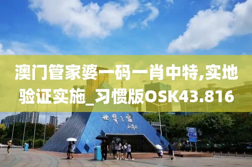 澳门管家婆一码一肖中特,实地验证实施_习惯版OSK43.816