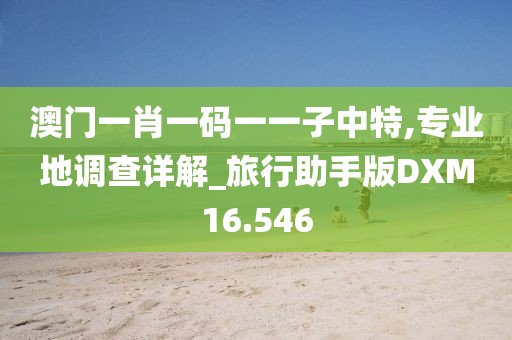 澳门一肖一码一一子中特,专业地调查详解_旅行助手版DXM16.546