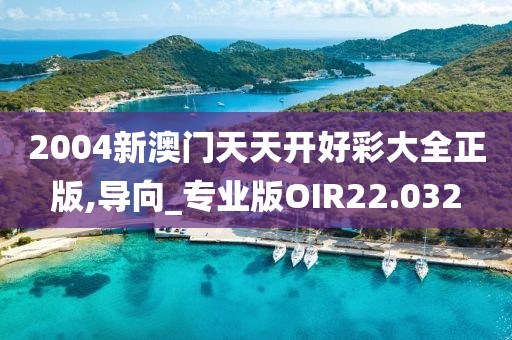 2004新澳门天天开好彩大全正版,导向_专业版OIR22.032