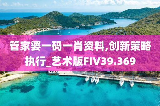管家婆一码一肖资料,创新策略执行_艺术版FIV39.369