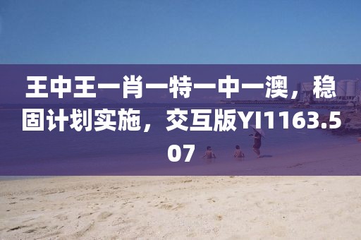 王中王一肖一特一中一澳，稳固计划实施，交互版YI1163.507